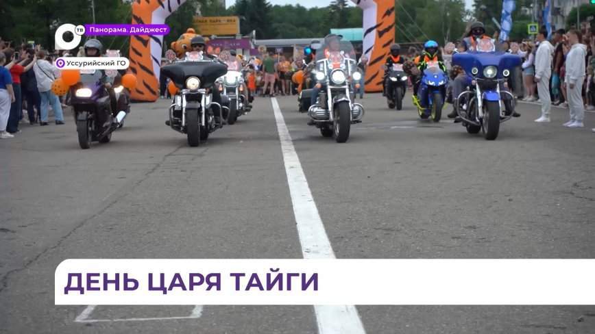 В Уссурийске почти 2 тысячи человек приняли участие в уличном шествии ко Дню тигра