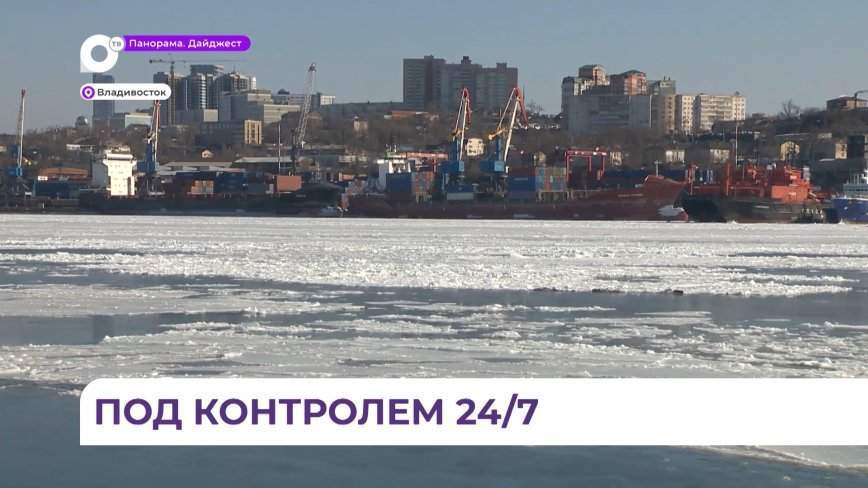 ВМТП рассказал и показал, как работает терминал по перевалке угля