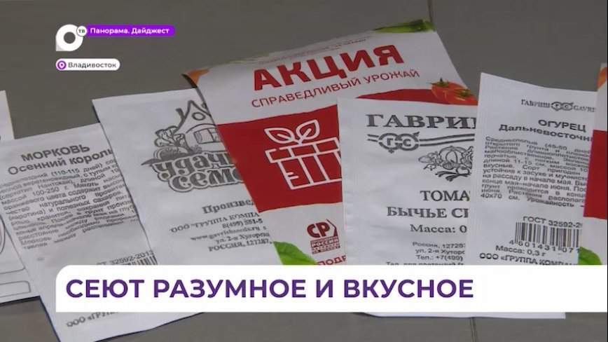 Бесплатную акцию «Справедливый урожай» устроила компания «Подряд» во Владивостоке