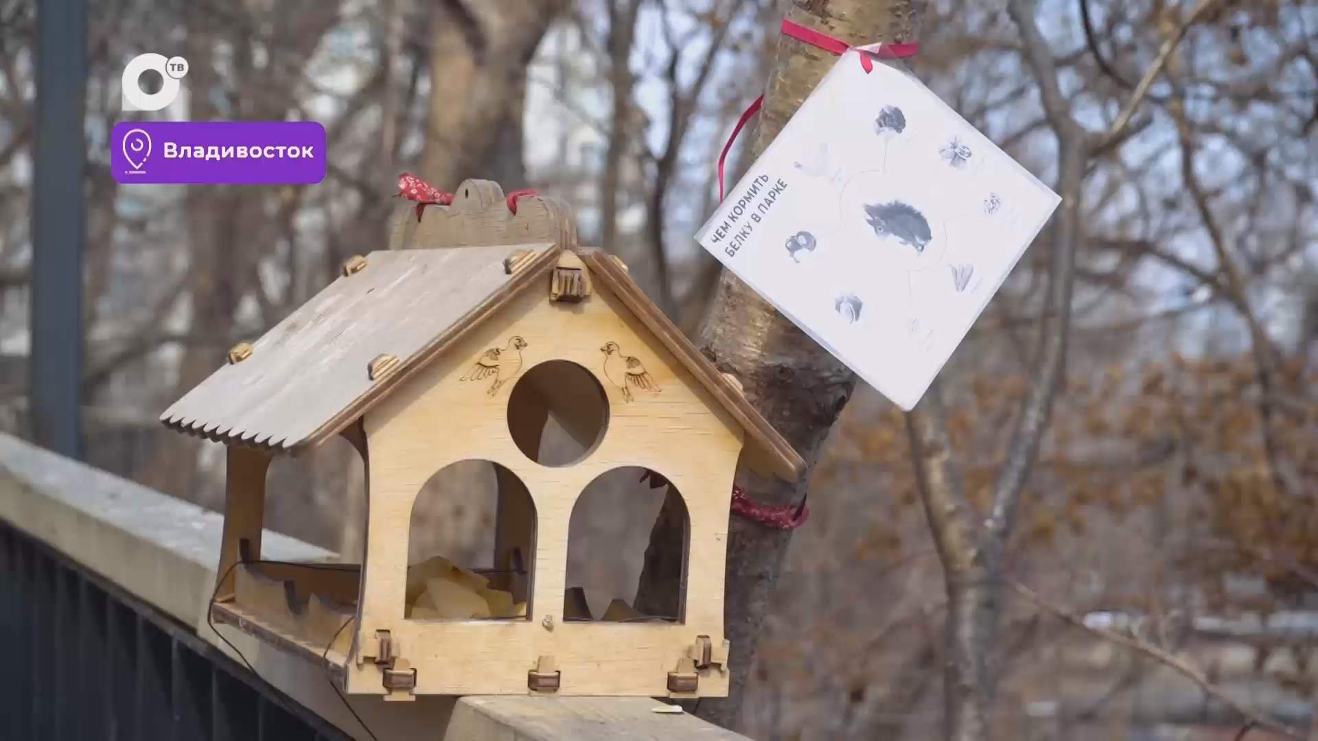 Было / Стало / Парки и скверы / 07.04.26