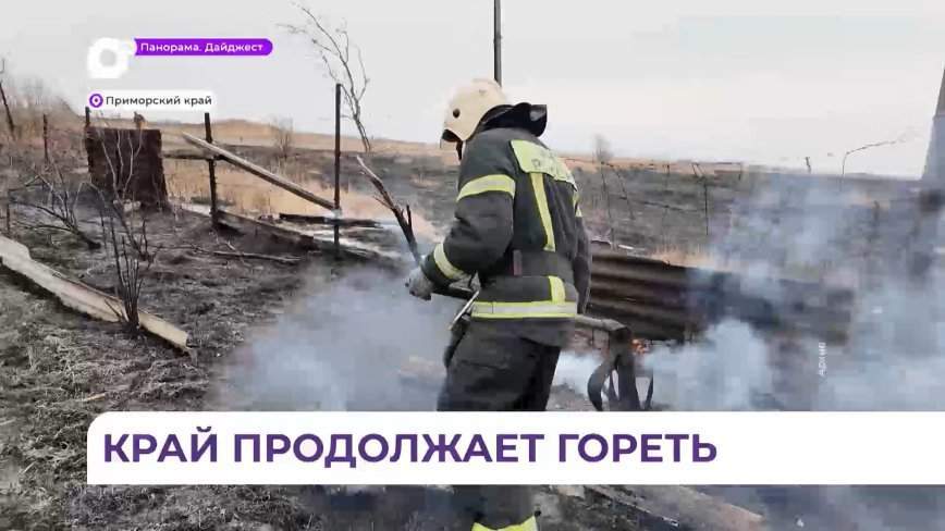 13 природных пожаров зафиксировано в Приморье за прошедшие сутки