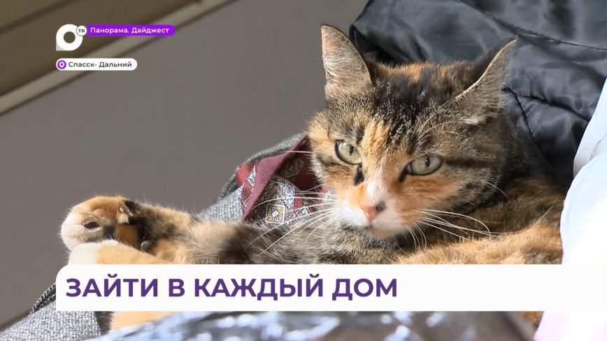 Работа по ликвидации последствий тайфуна кипит в городе Спасске-Дальнем