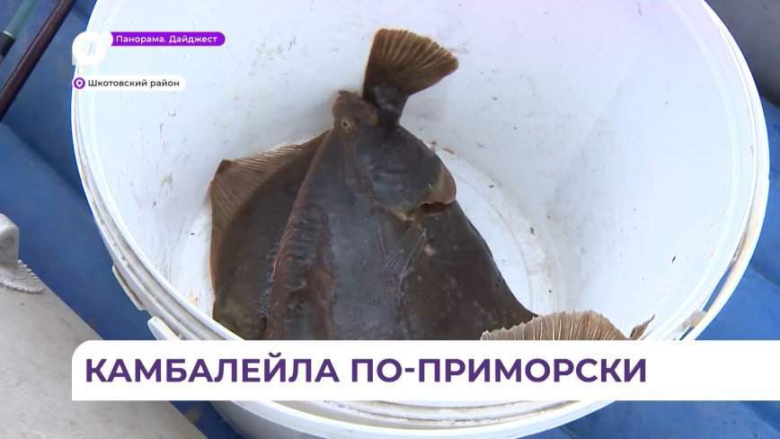 «Народная рыбалка» на открытой воде состоялась в районе Шкотово