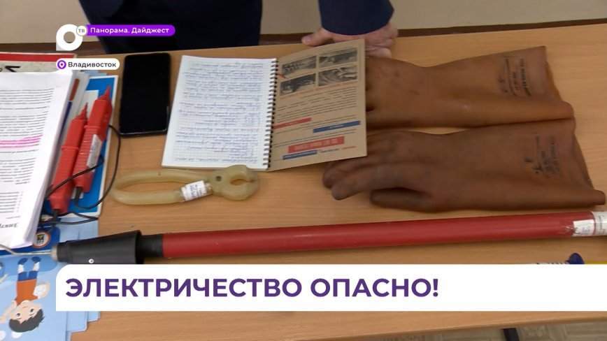Энергетики провели занятия по электробезопасности для школьников Владивостока