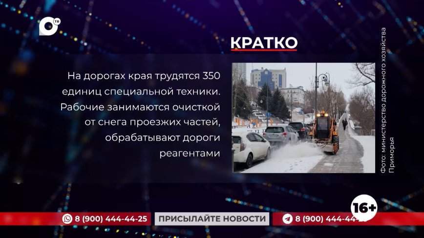 Кратко. 31.01.24 (Утро)