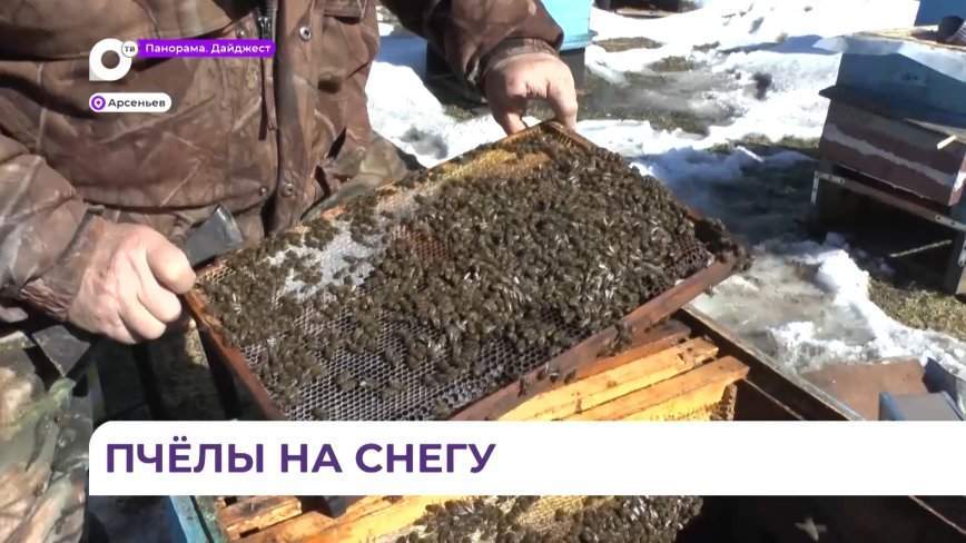 У пчеловодов Арсеньева началась подготовка к новому сезону