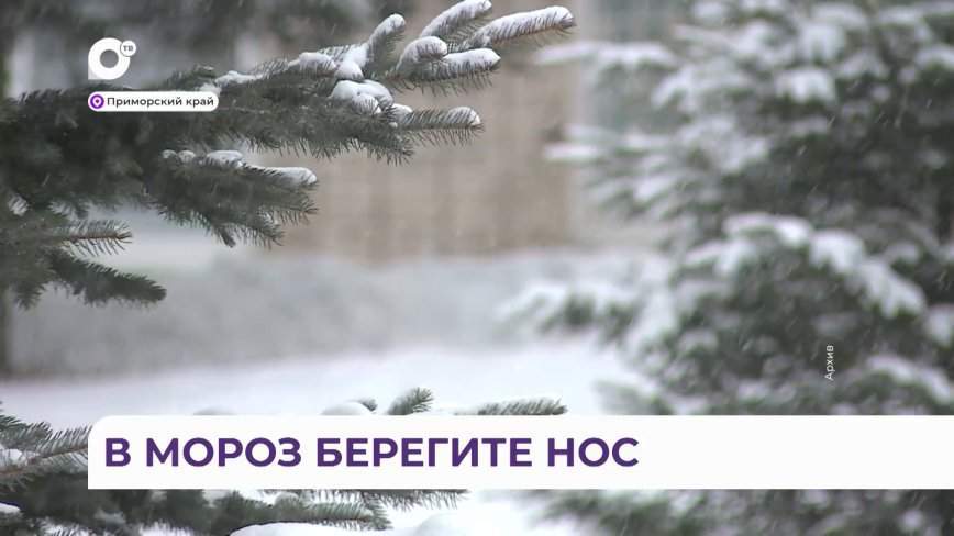 Как провести зиму без переохлаждений и обморожений