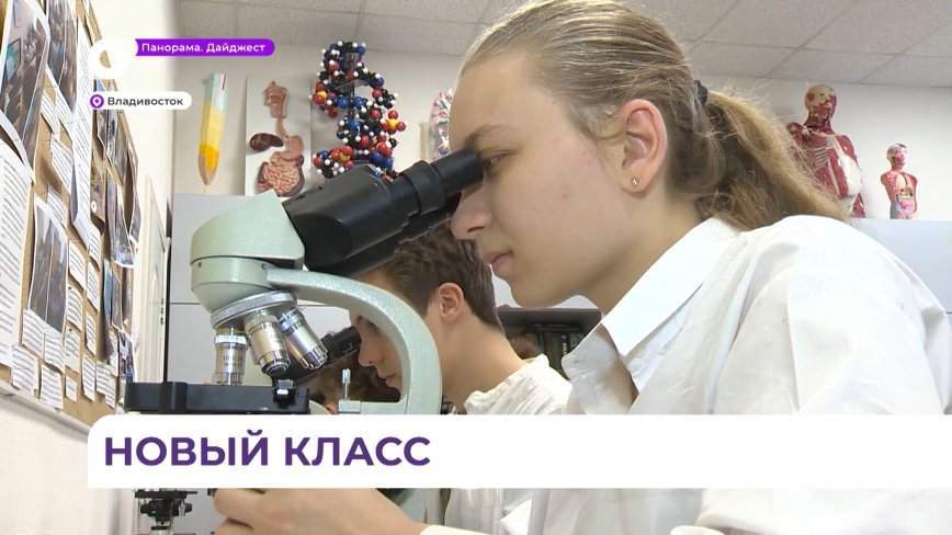 Медико-биологический класс откроется во Владивостоке в школе для одарённых детей