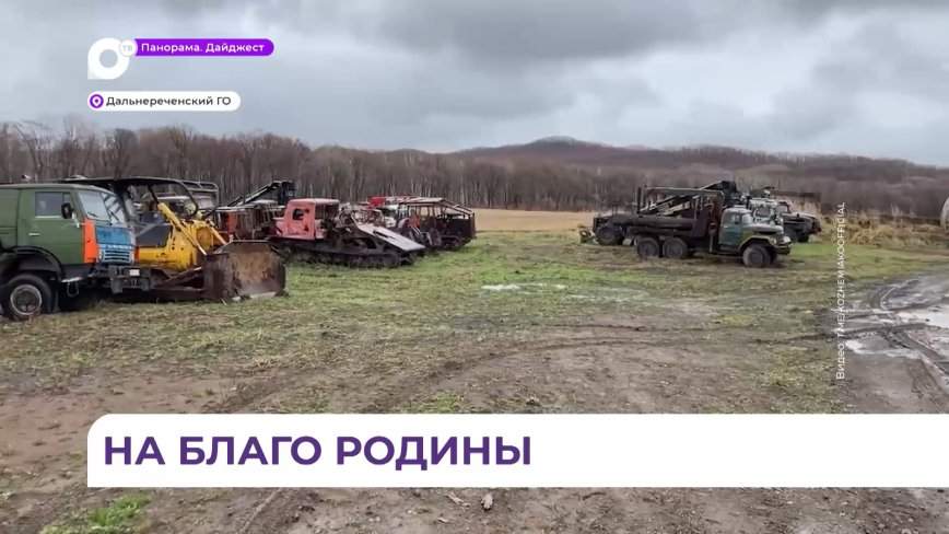 Олег Кожемяко предложил передать изъятую у «чёрных лесорубов» технику в зону СВО