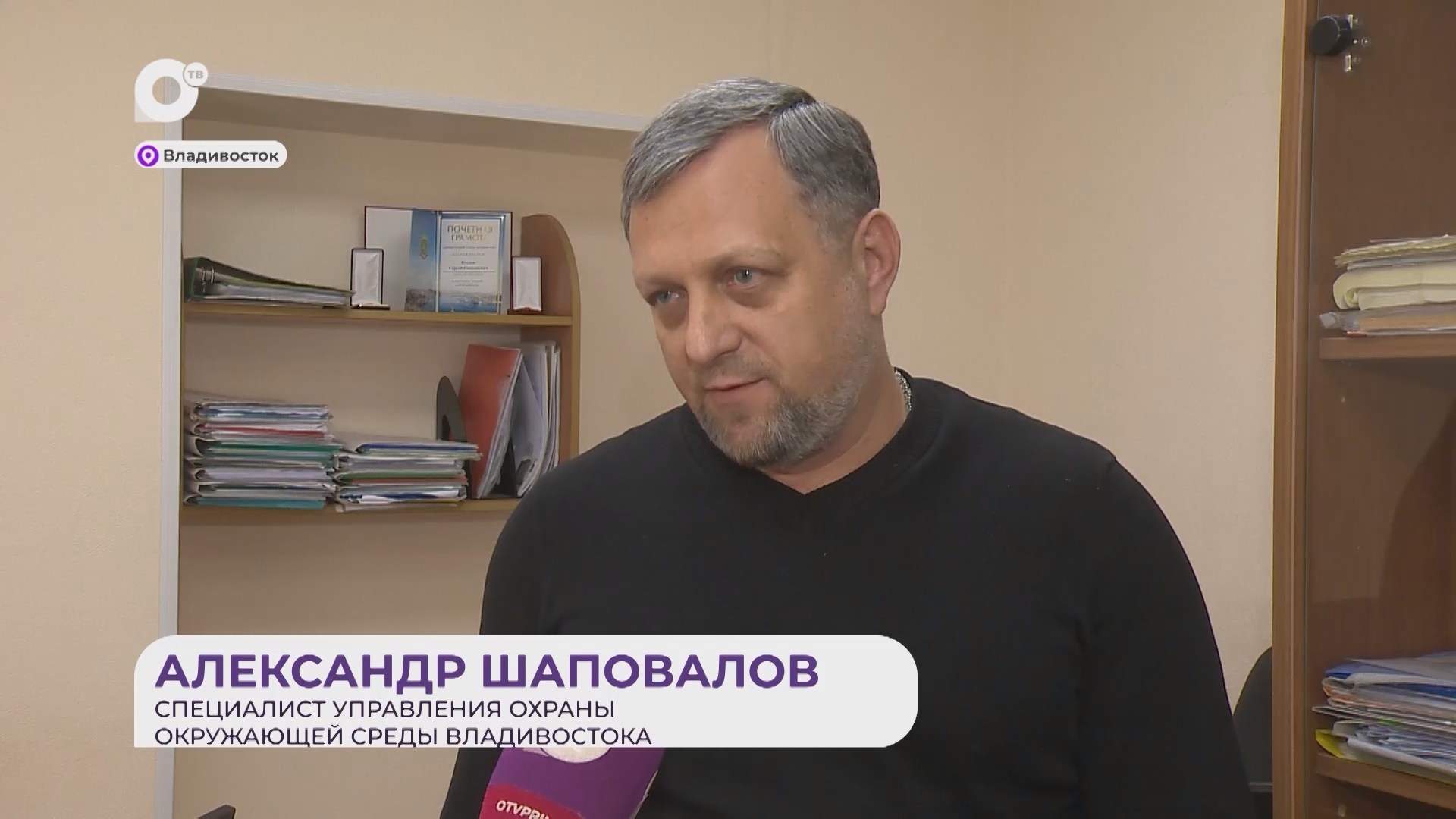 Прямая речь / О вырубке деревьев / 19.03.26