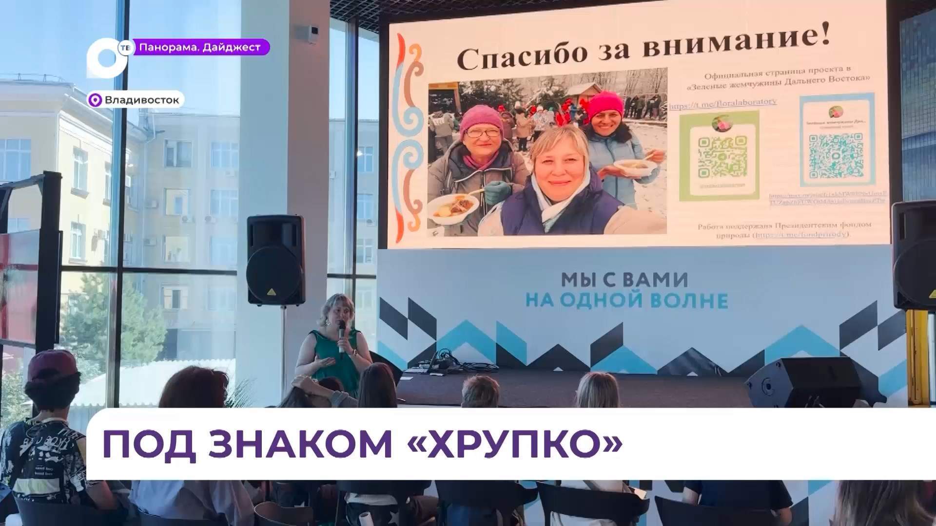 Эколого-просветительский проект «Золотая черепаха» проходит во Владивостоке