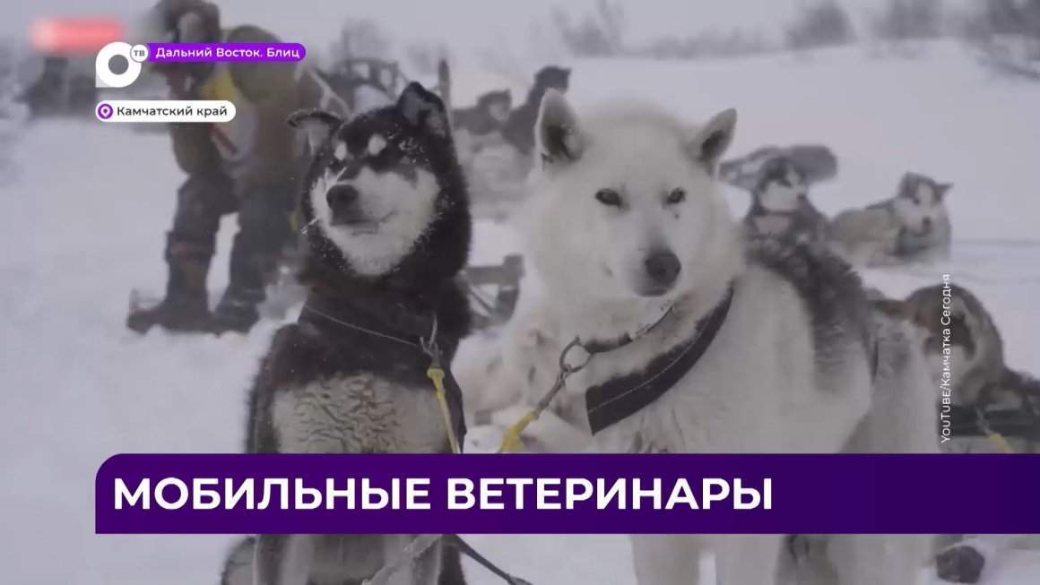 Дальний Восток Блиц / 07.02.23