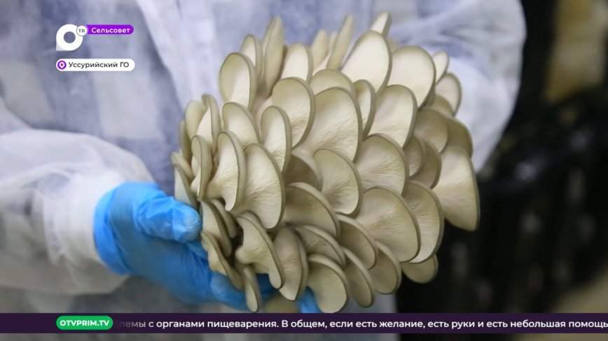 Сельсовет / Делаем своё / 18.02.23