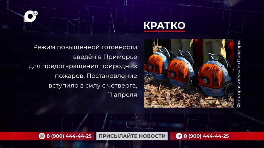 Кратко. 11.04.24 (Вечер)
