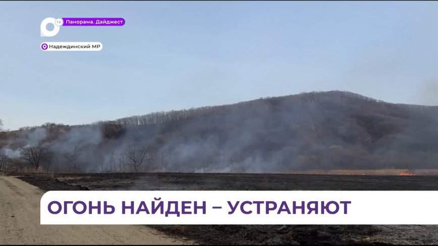 Природный пожар ликвидируют вблизи села Алексеевка Надеждинского района