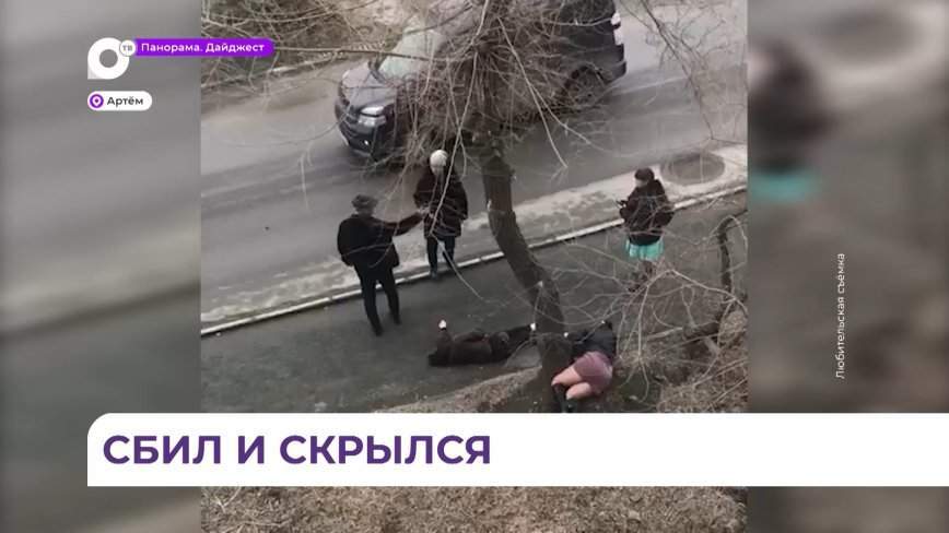 В Артёме разыскивают водителя, сбившего двух женщин на тротуаре