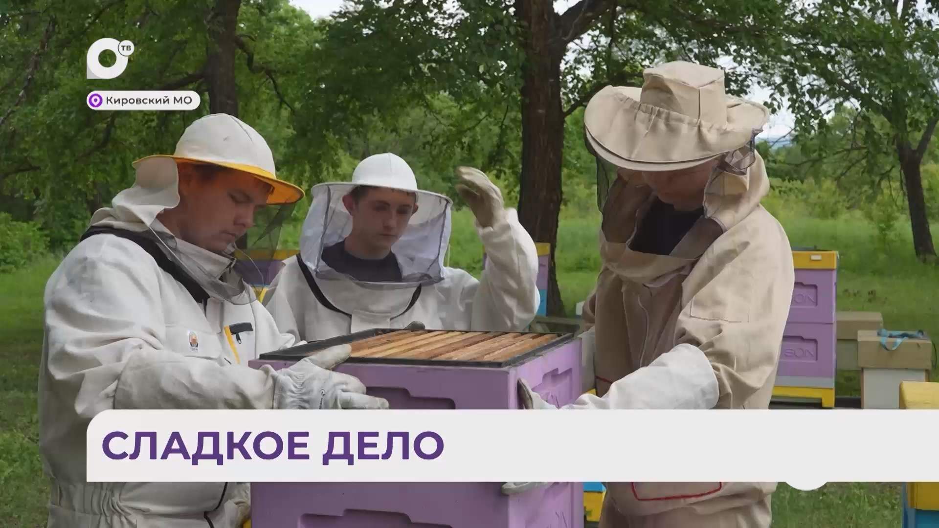 Без комментариев / Сладкое дело / 19.06.26