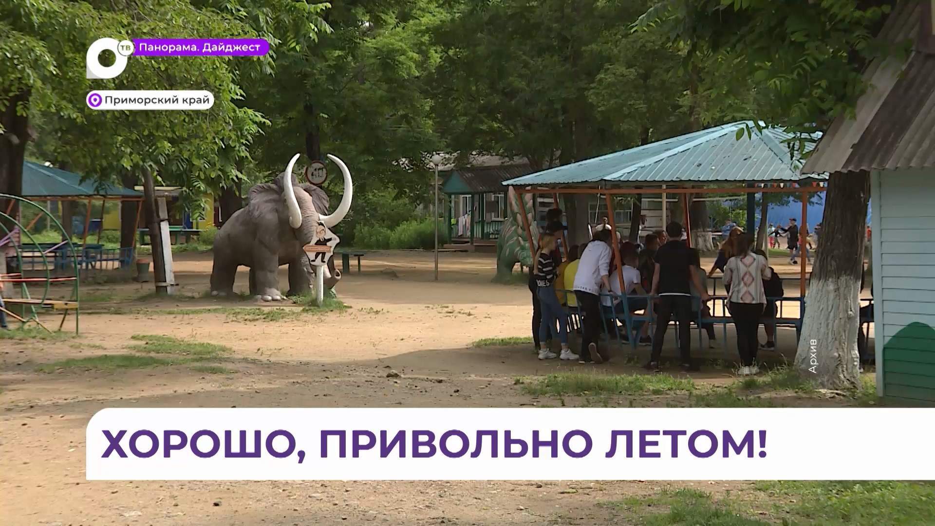 В Приморье летняя оздоровительная кампания охватит 200 тысяч школьников