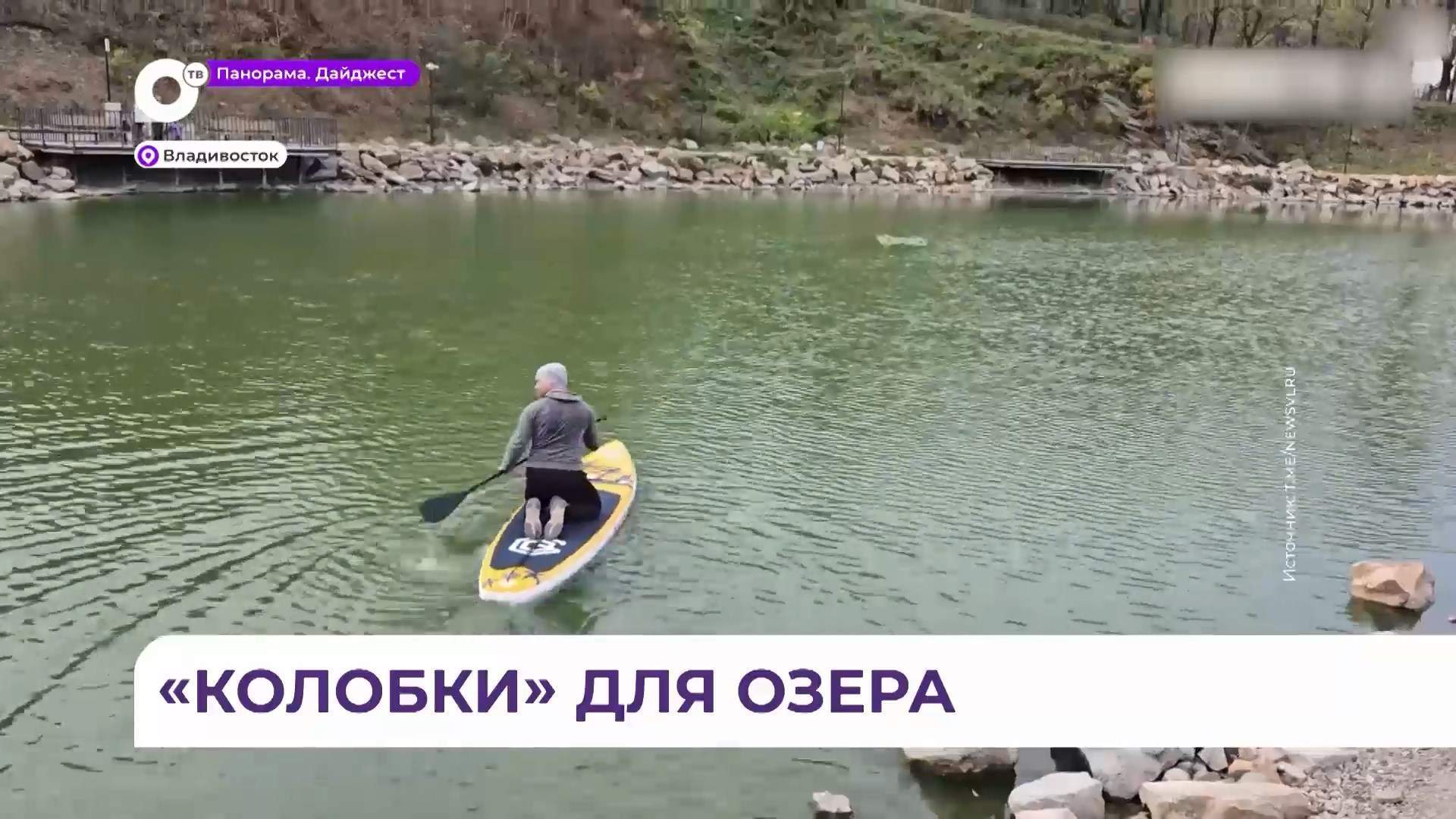 «Биоколобки» очистят черепашье озеро на Сафонова во Владивостоке