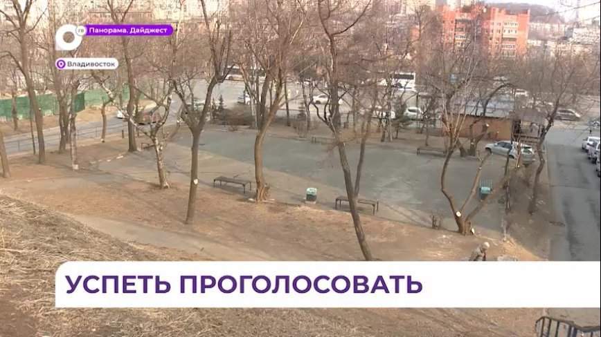Семь скверов в разных районах Владивостока получили шанс изменить свой облик