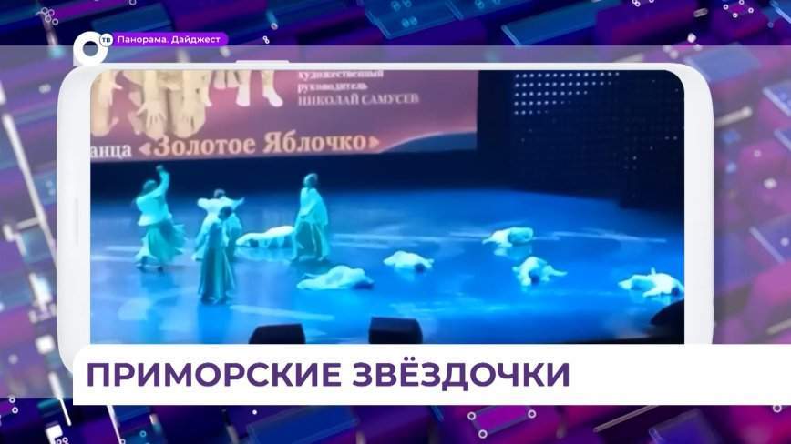 Танцевальный ансамбль «Звёздная рапсодия» из Ольги выступил в Кремле