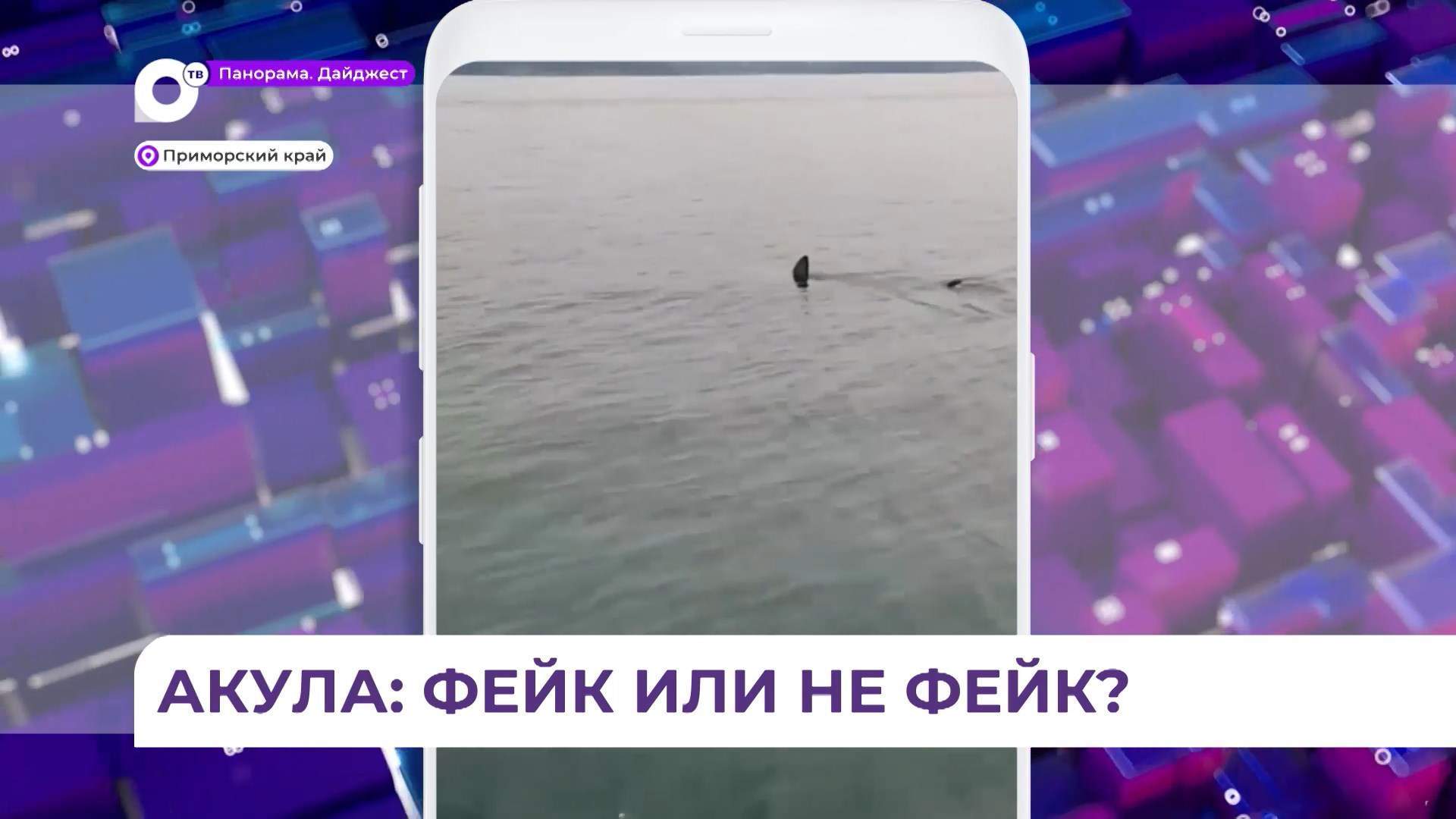По социальным сетям разлетелось фейковое видео с акулой в Приморье