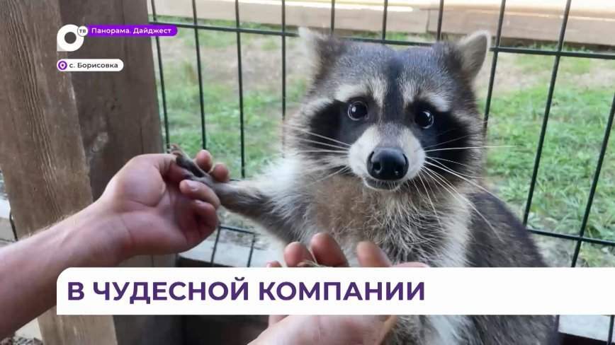 Зоопарк «Чудесный» отмечает школьные каникулы бонусами для детей
