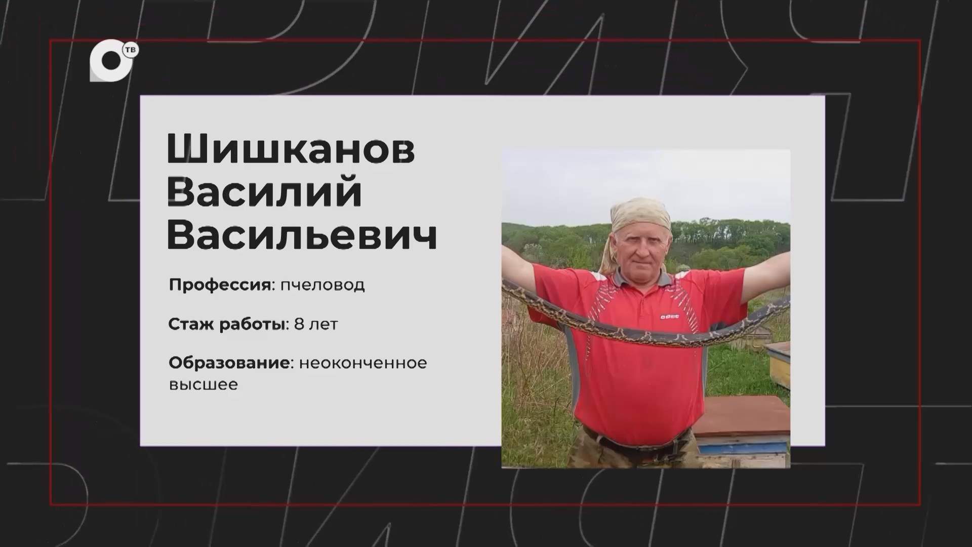 НЕработа / Пчеловод / 12.07.26