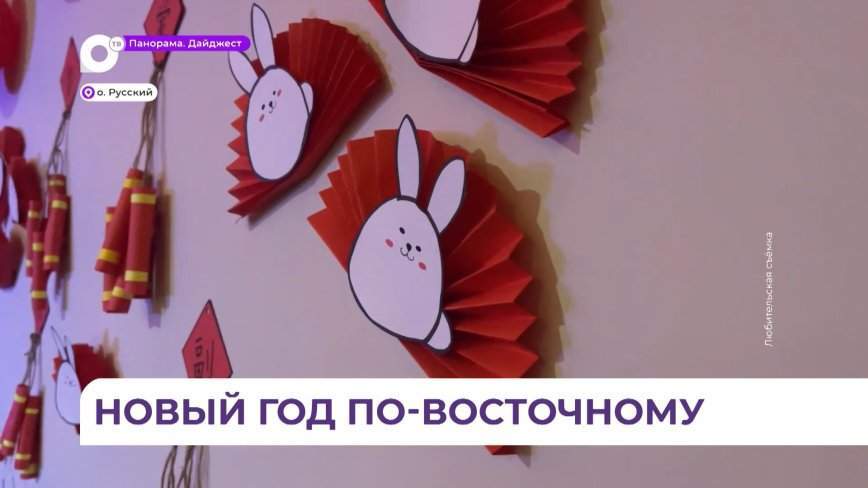 Новый год по лунному календарю отметили студенты ДВФУ