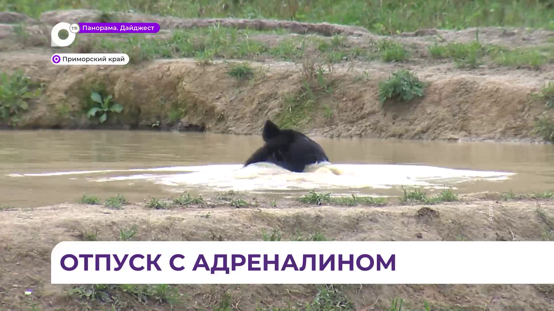 Неожиданная встреча человека с двумя медведями произошла недалеко от села Красный Яр