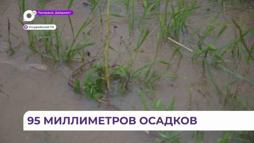 Город «утонул» в Приморье