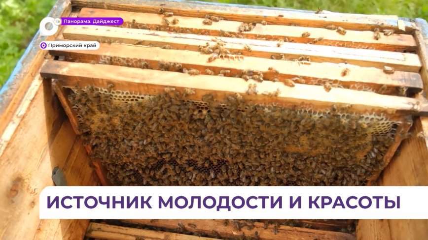 Участников Харбинской международной торгово-экономической ярмарки угостят приморским медом