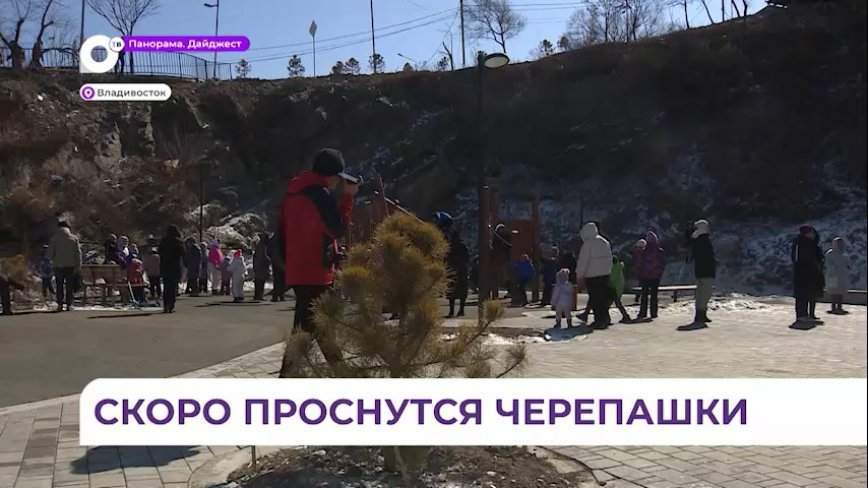 Во Владивостоке открылась благоустроенная территория озера на Сафонова