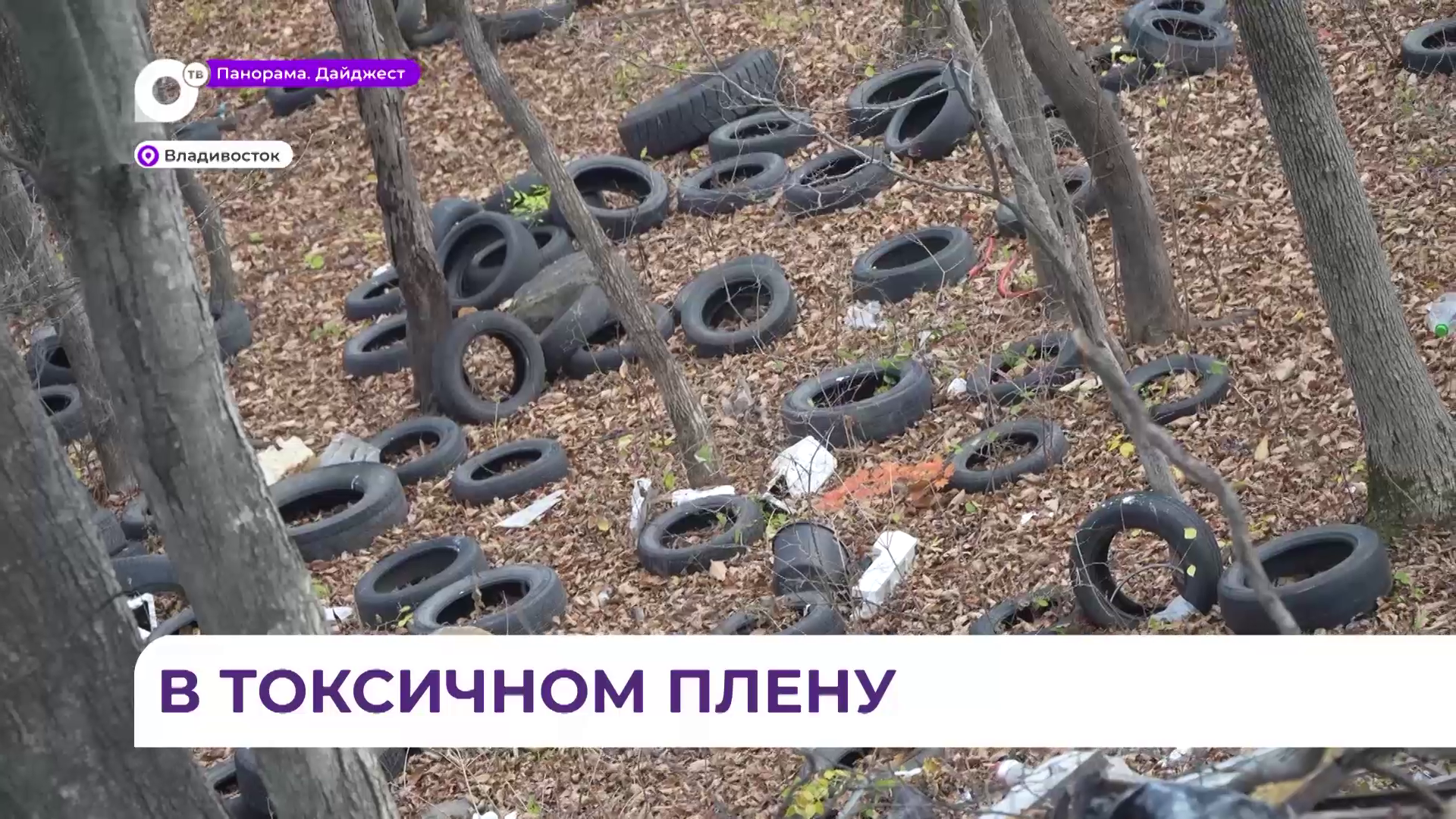 Осенний лес Владивостока превратился в бескрайнее кладбище шин