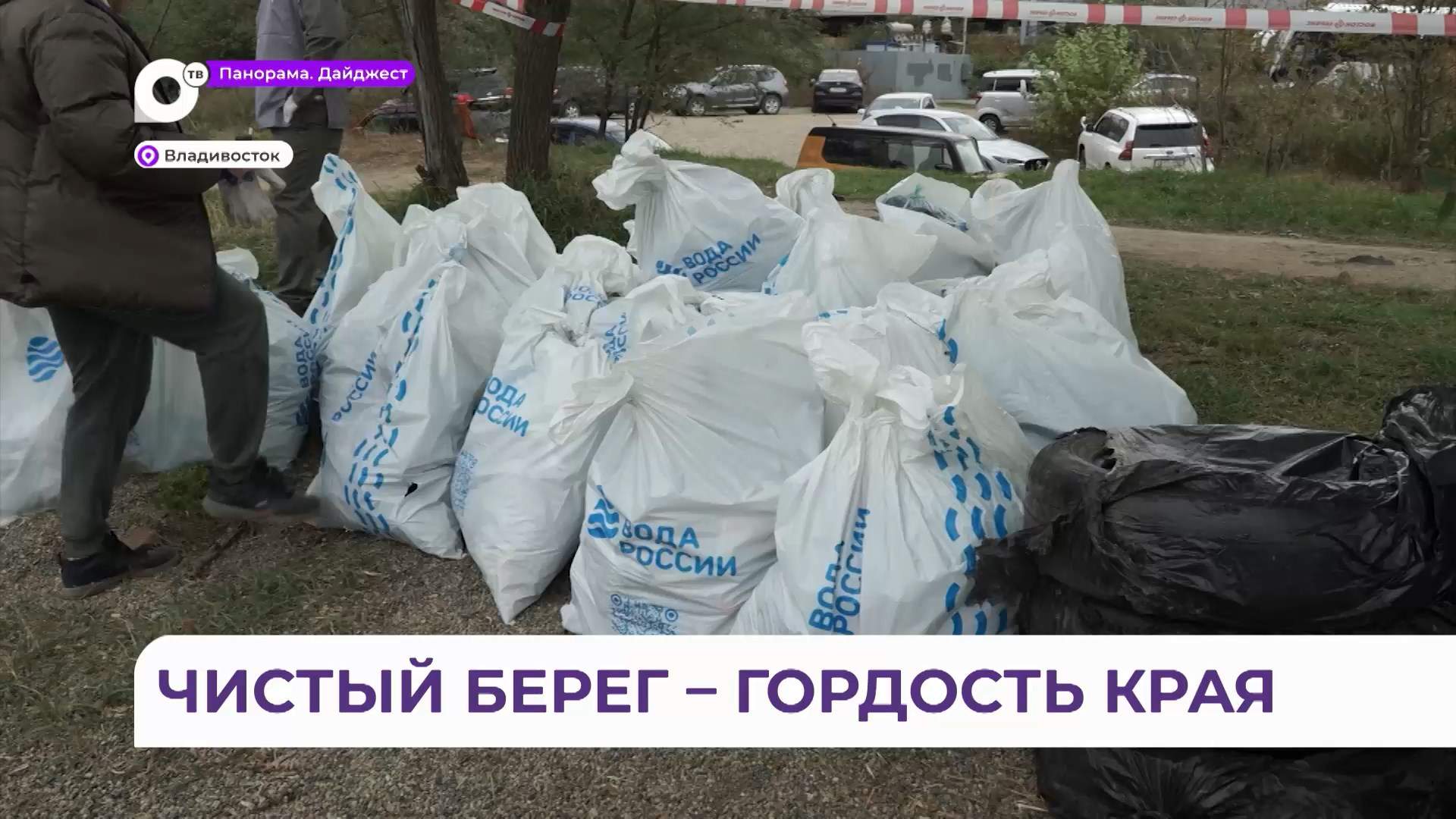 Больше 100 жителей Владивостока приняли участие в экоакции «Чистый берег – гордость региона