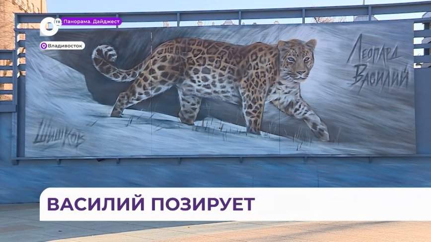 Граффити с леопардом Василием радует глаз в самом сердце Владивостока