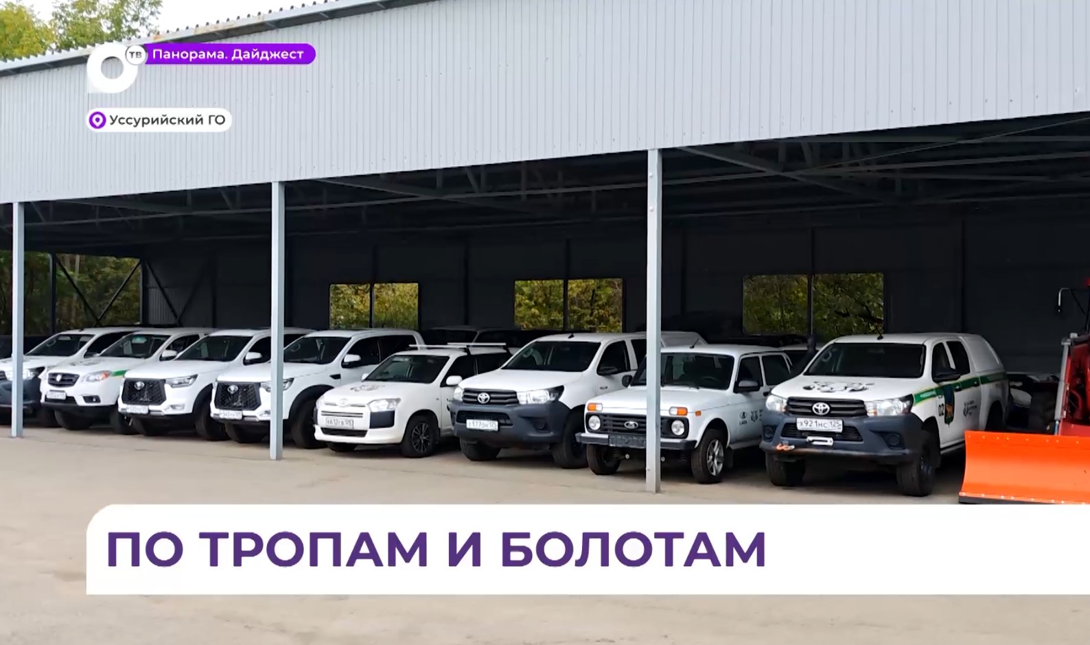 Непроходимая уссурийская тайга станет доступнее работникам леса