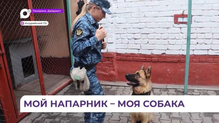 День кинологической службы уголовно-исполнительной системы отмечают в Приморье
