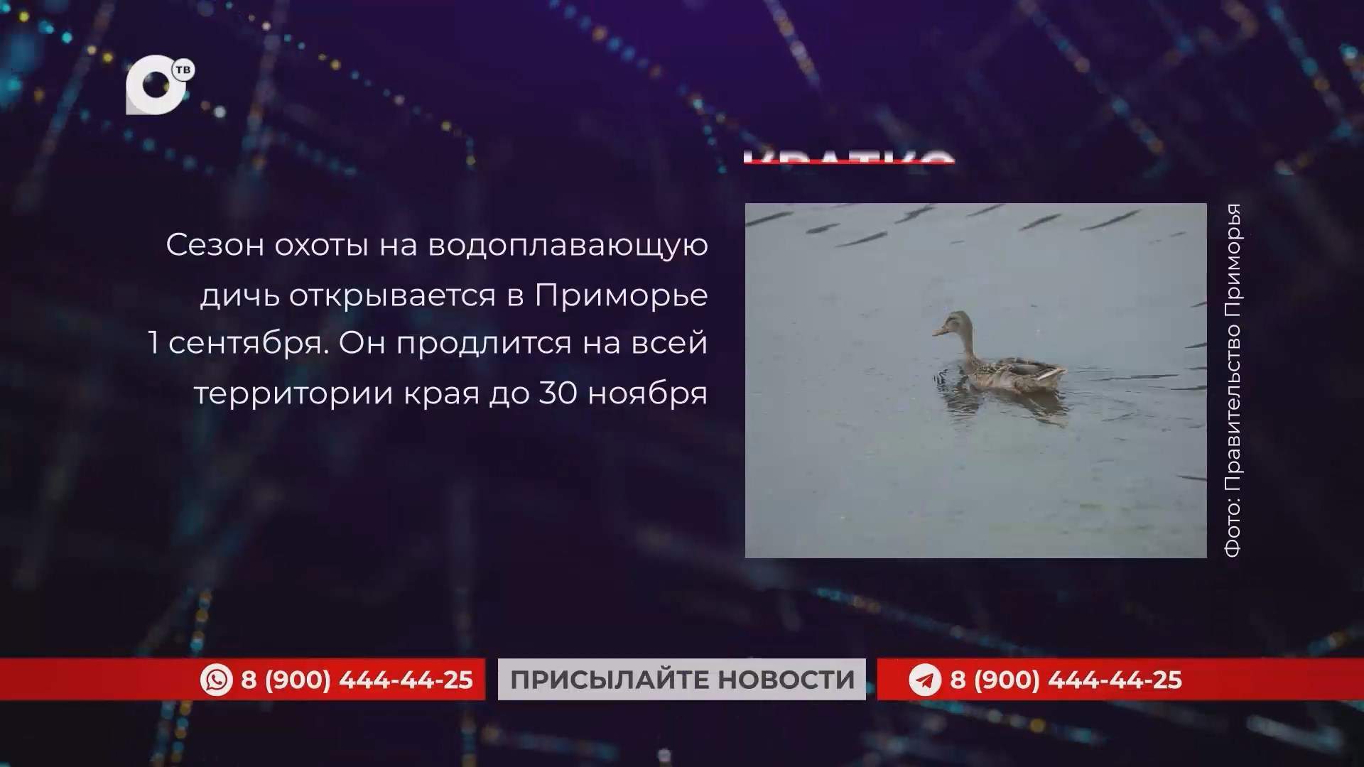 Кратко / 28.08.25 / Вечер