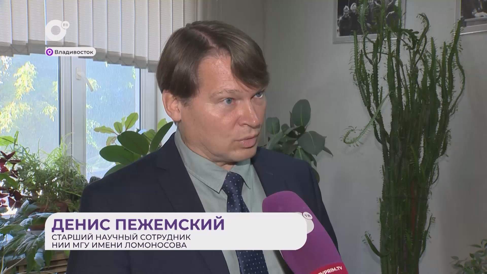 Прямая речь / Об археологических находках / 23.09.26