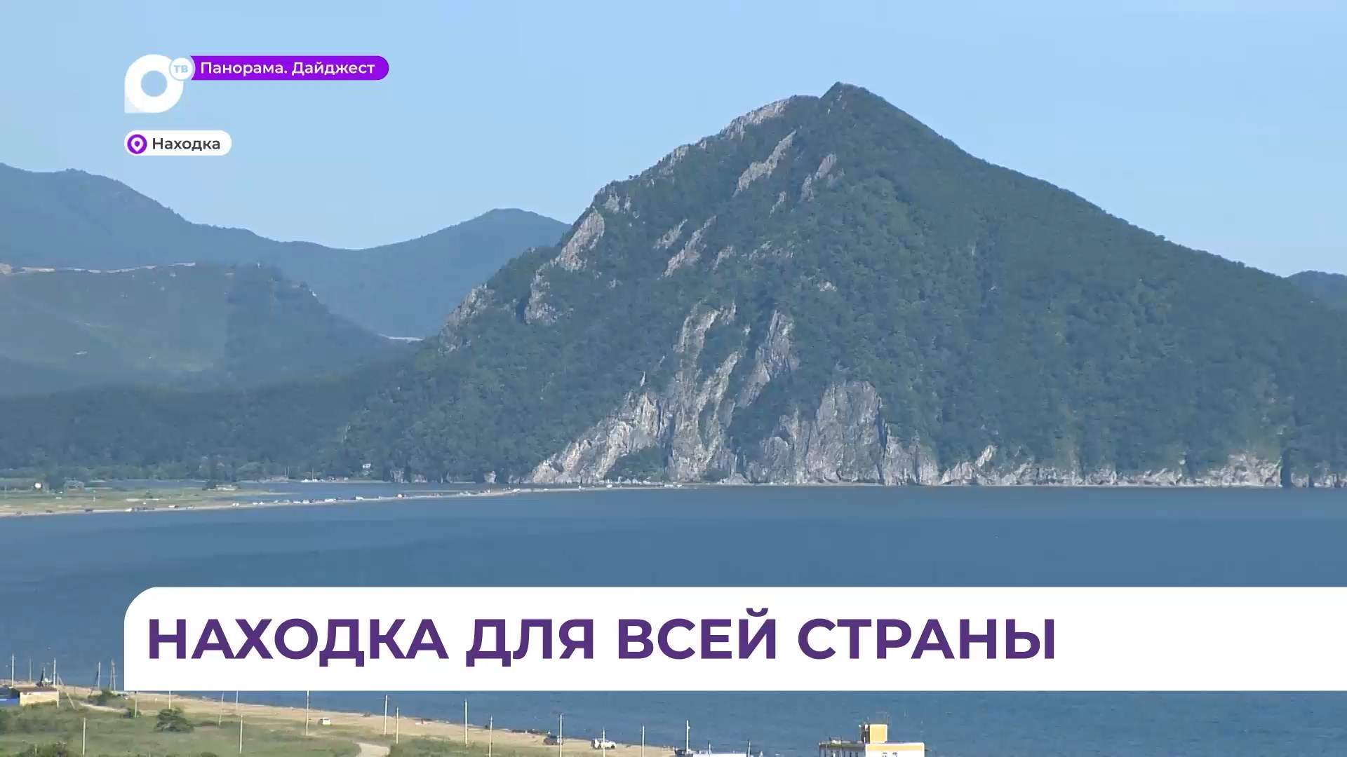 Школьница из Находки стала финалистом всероссийского конкурса «Большая перемена»