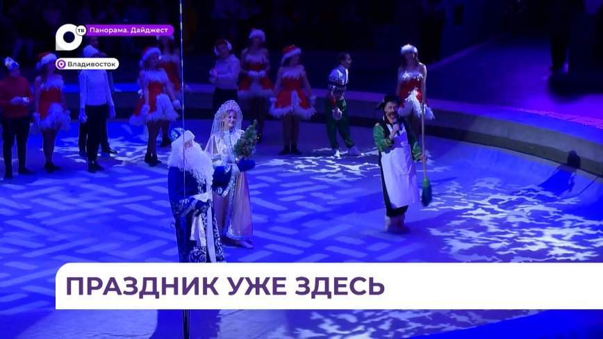 Юных победителей олимпиад, конкурсов и соревнований из Приморья пригласили на губернаторскую ёлку