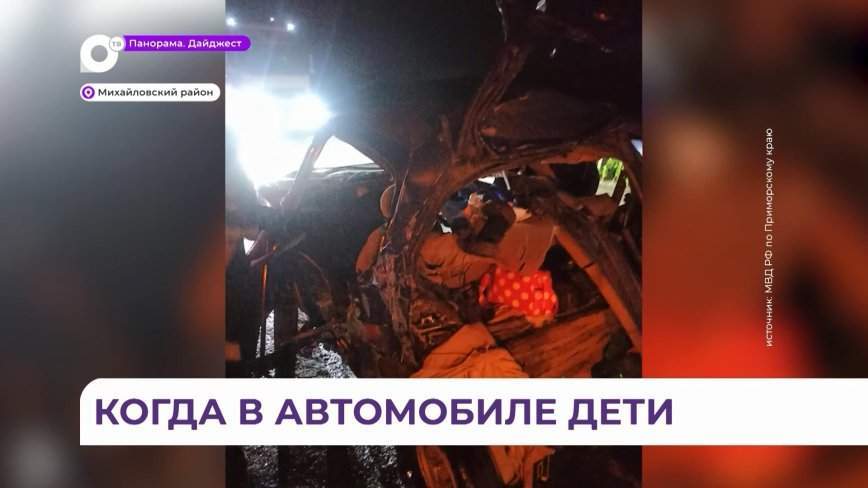 Правила перевозки детей в авто напомнили жителям Приморья