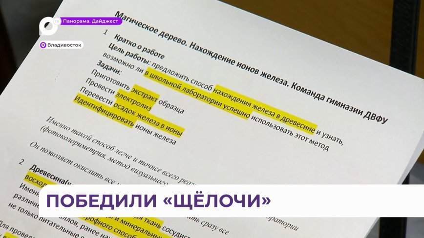 Крупнейший химический турнир России для старшеклассников прошёл во Владивостоке