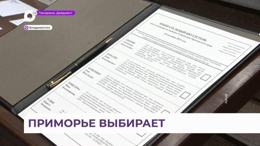 «Три дня лучше»: председатель общественной организации «Твой здоровый образ жизни» о Приморье и выборах