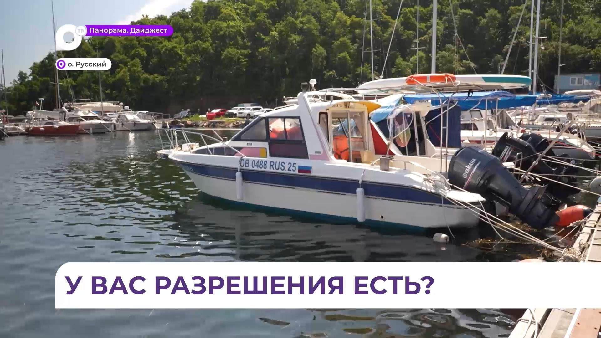 Стоянки лодок и катеров в бухте Новик проверила природоохранная прокуратура Приморья