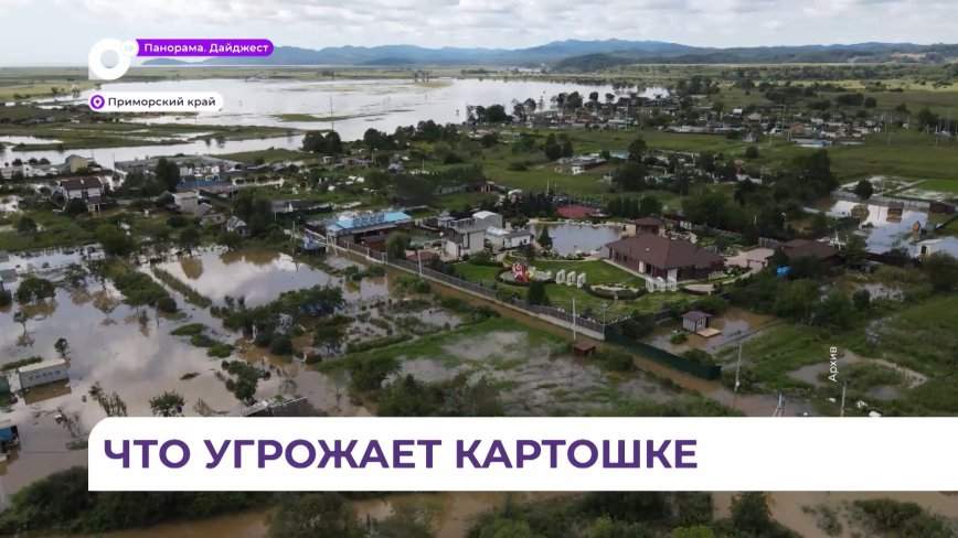 Из-за дождей во многих районах Приморья наблюдается сильное переувлажнение почвы