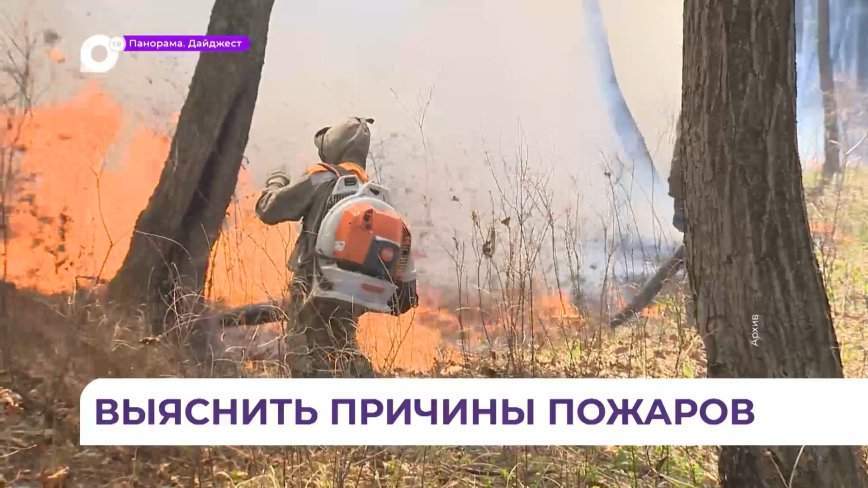 В Приморье ищут виновников, устроивших 50 природных пожаров
