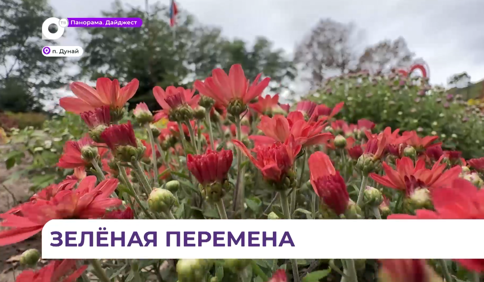 Красоту своими руками создают ученики 253-й школы в поселке Дунай на уроках труда