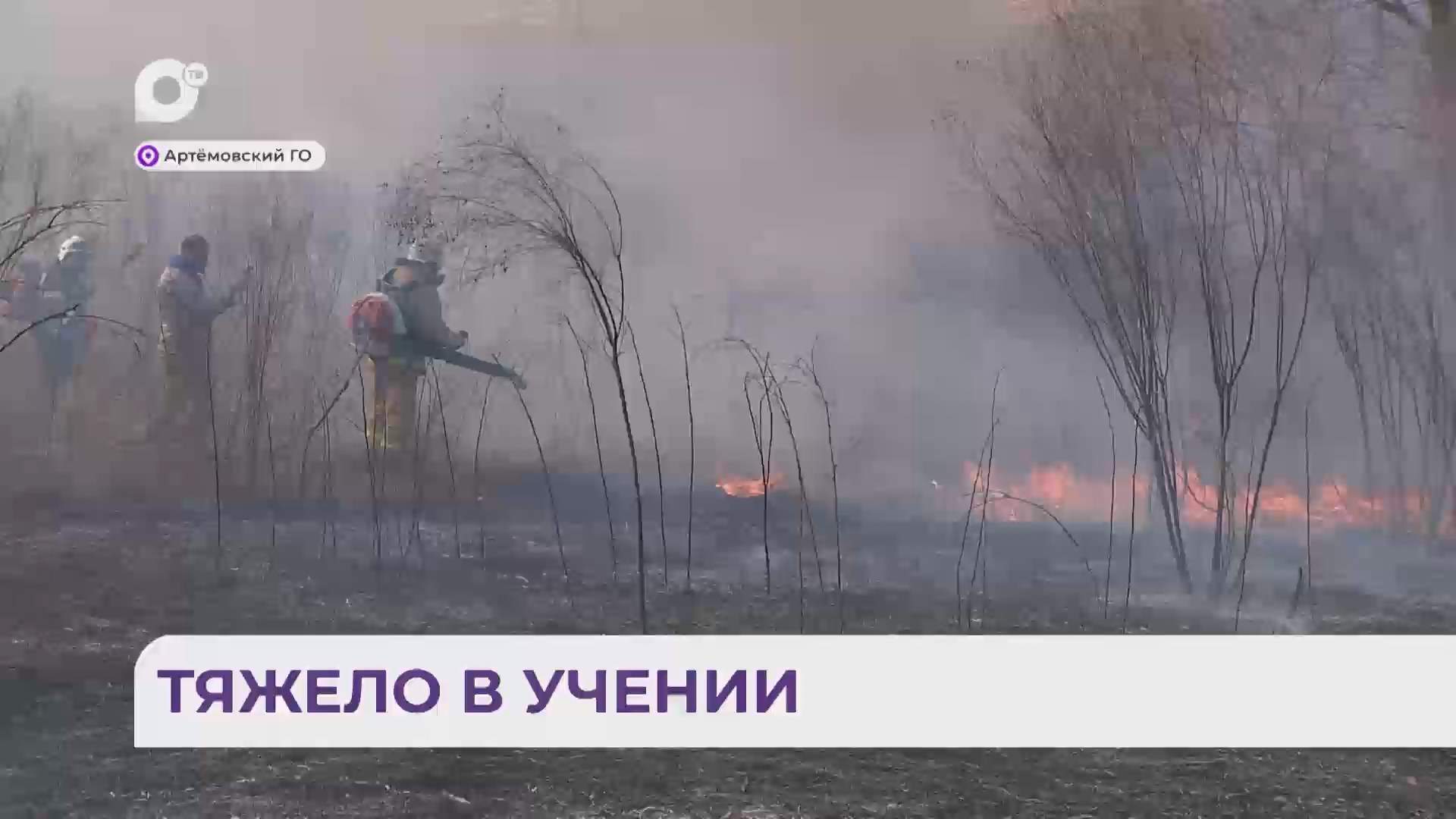 Без комментариев / Тяжело в учении / 26.03.26